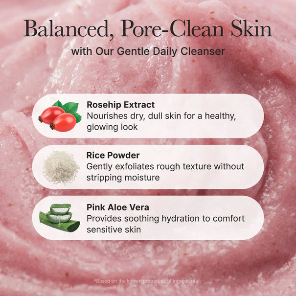 Arencia Fresh Rosehip Mochi Cleanser