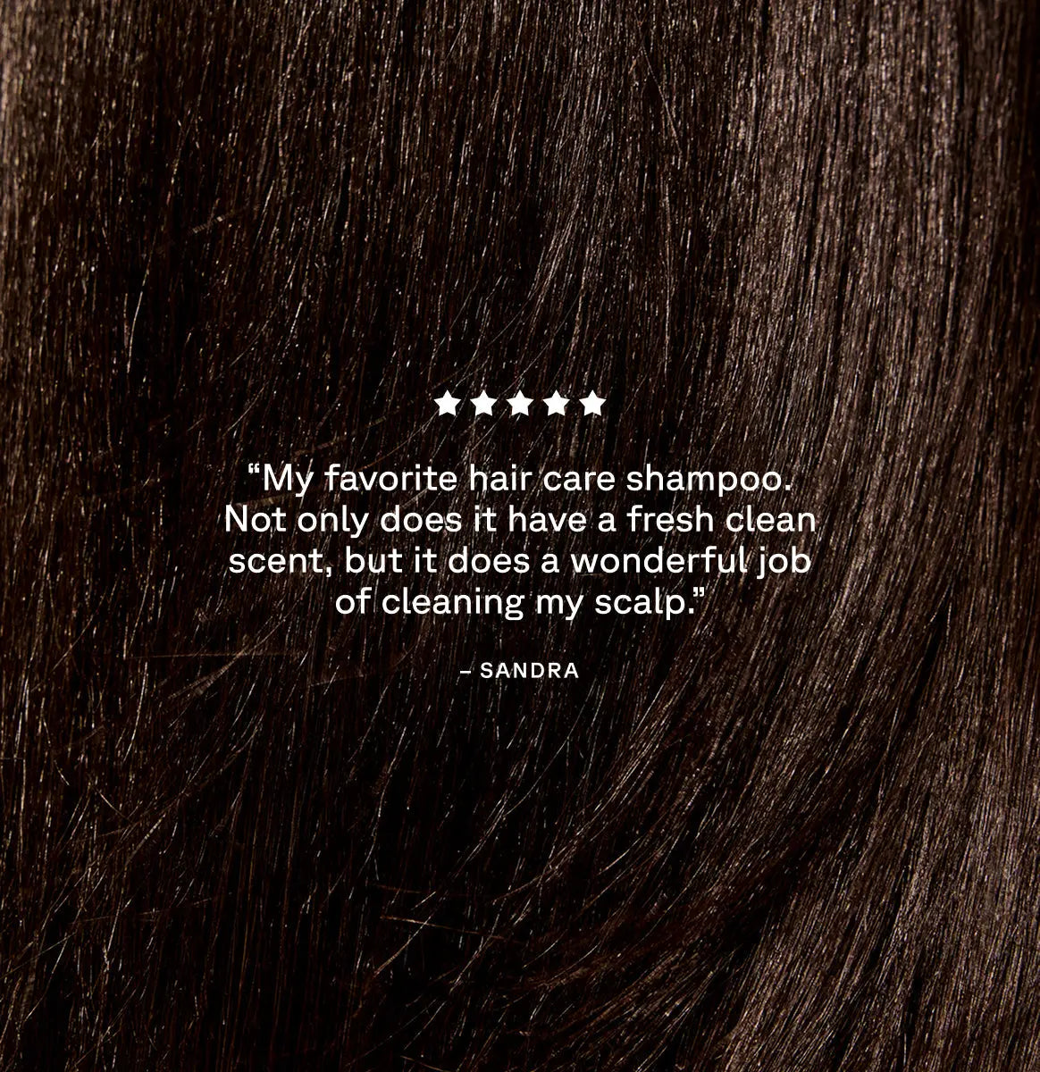 Curiously Clarifying Shampoo and Conditioner Set Acure JOLIE'S