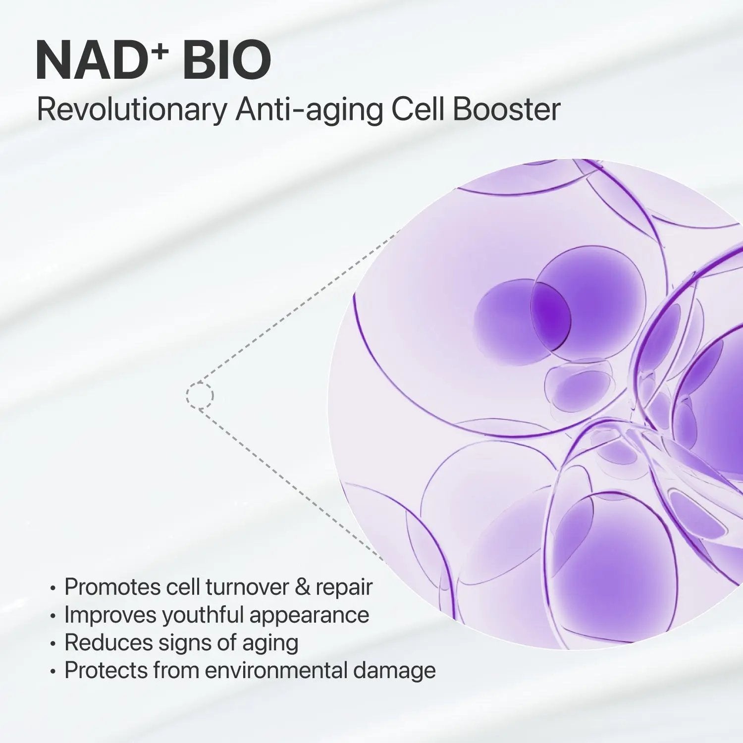 NUMBUZIN No.9 Lifting Duo numbuzin JOLIE'S